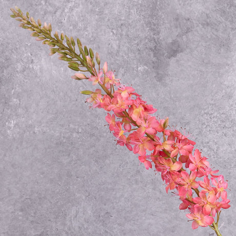 A faux foxtail lily with warm pink flowers