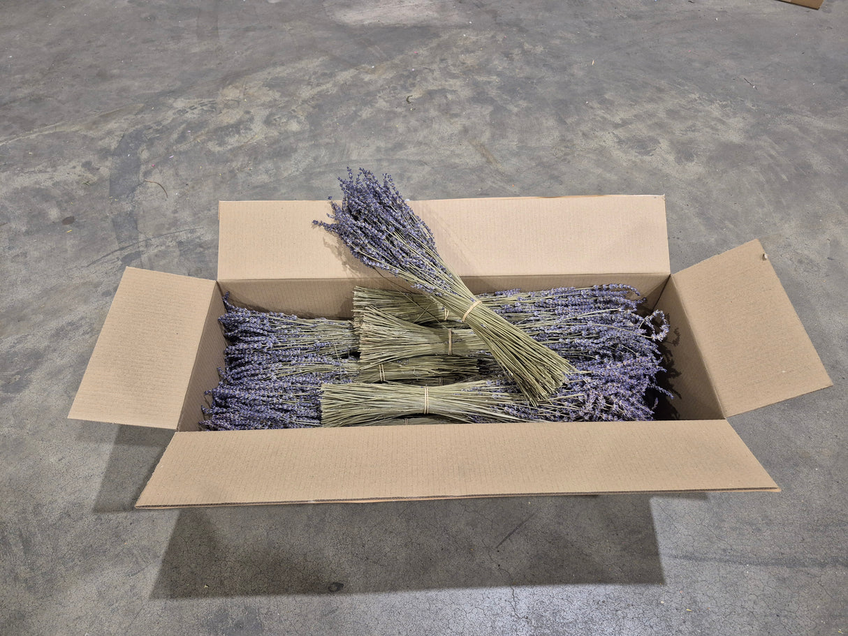 A full box of 20 bunches of Dried Italian Blue Lavender
