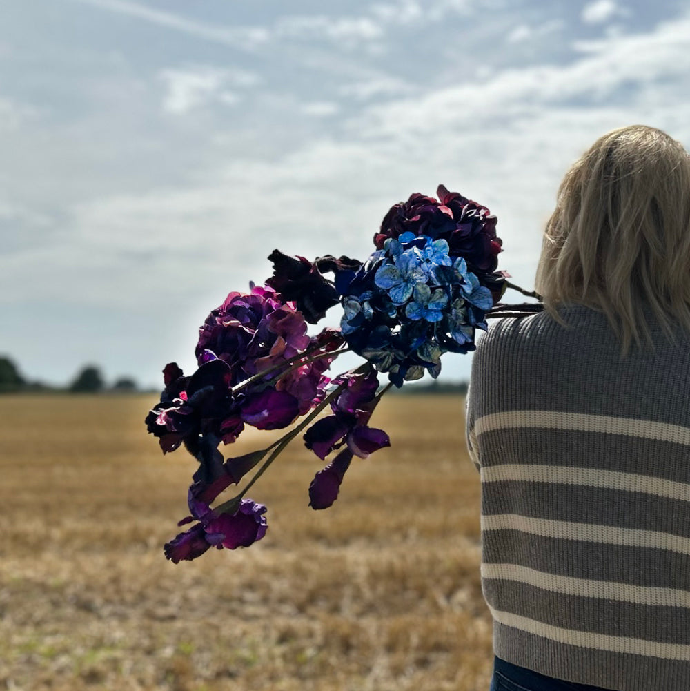 A bold bunch of deep purple and blue coloured Silk-ka flowers shown against a cloudy sky and stubble field