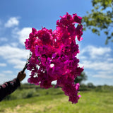 Faux bouganvillea sprays in a bright pink colour, displayed against the backdrop of a luscious green meadow filled with trees, against the backdrop of a sunny, blue sky