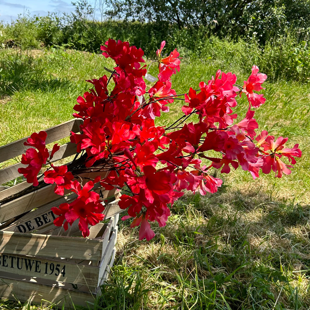 A group of red and pink mandevilla sprays set against a meadow and bright blue sky.