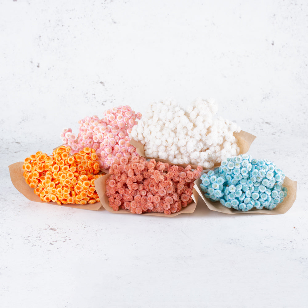 Helichrysum Immortelle, Dried, Dyed Salmon Pink, 40g