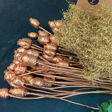 Copper coloured poppy head stems and gold lepidium