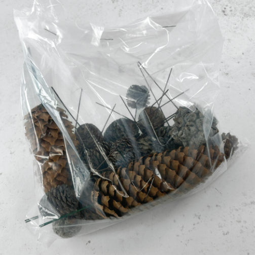 A bag of mixed cones