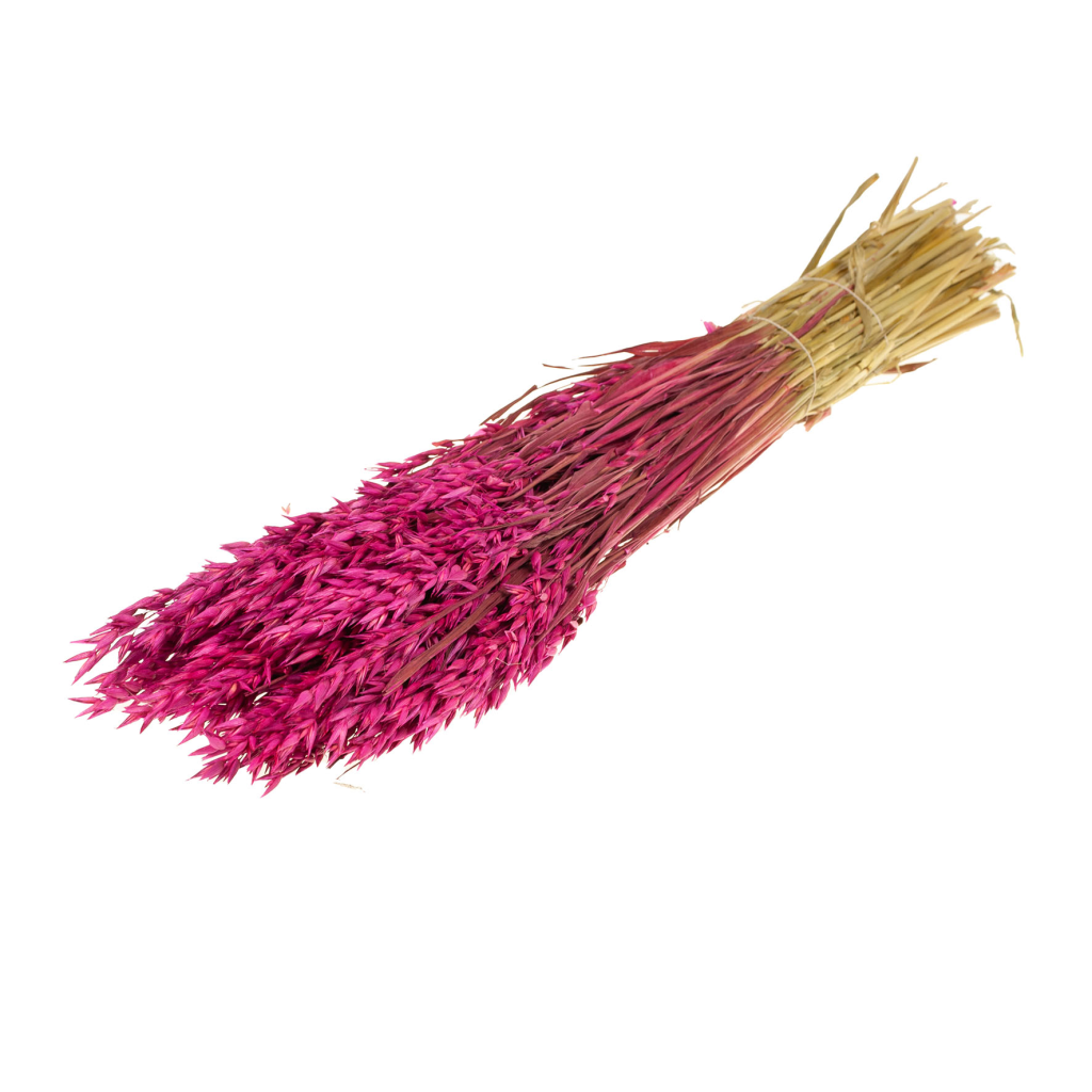 Pre Order Haver (avena) cerise, box x 25