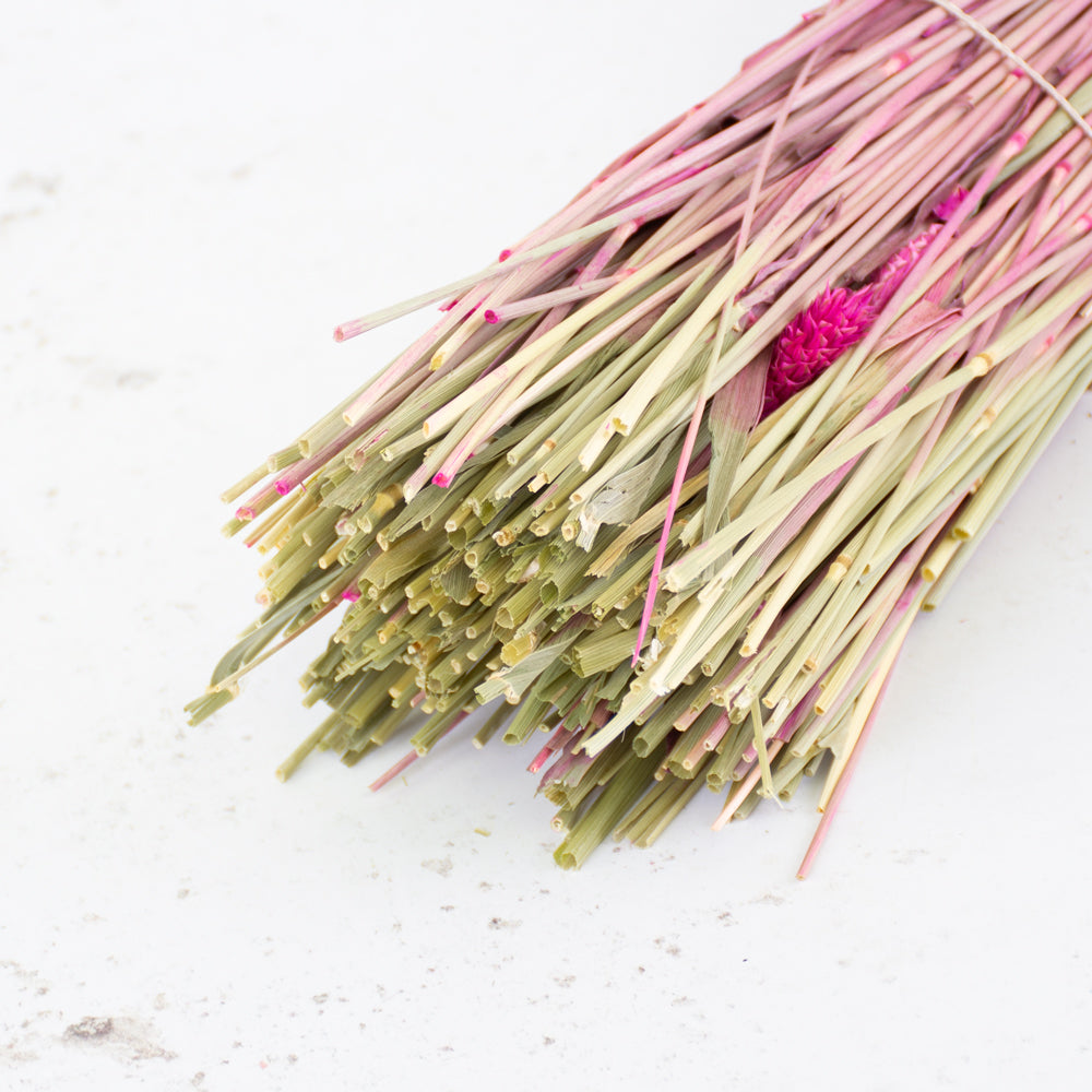 Phalaris, (Canary Grass), Dried, Cerise