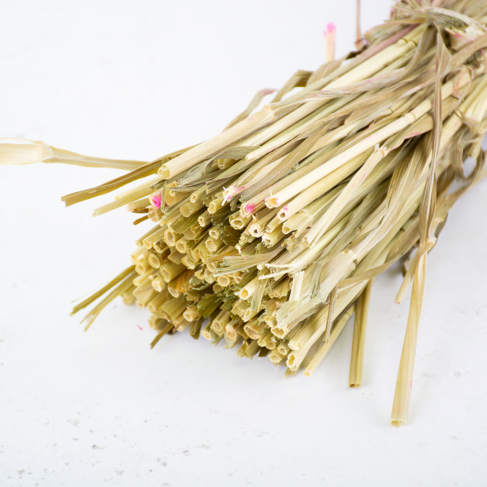 Wheat, (Triticum), Dried, Cerise