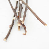 Salix, Pussy Willow, Dried, White, 80cm