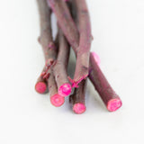 Salix, Pussy Willow, Dried, Dark Pink, 80cm