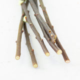 Salix, Pussy Willow, Dried, Green, 80cm