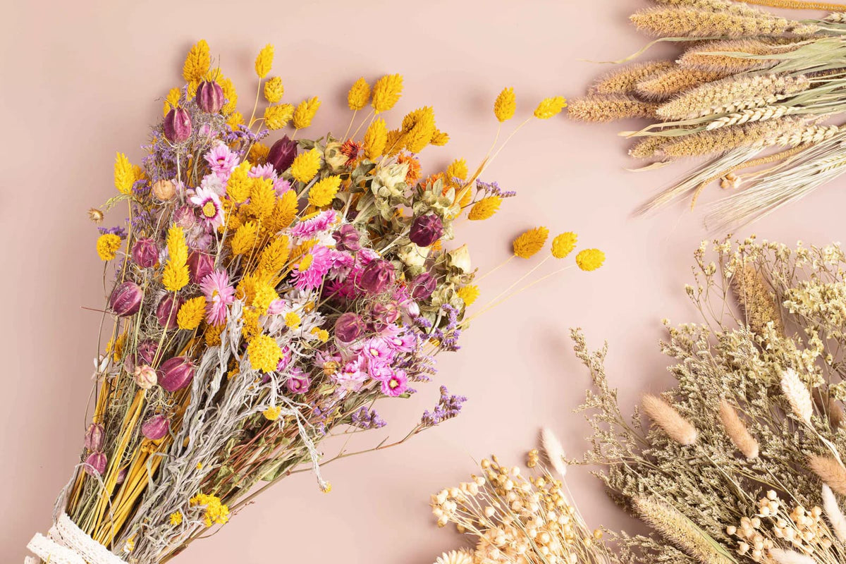 Top 10 Most Romantic Flowers | Alternative Flowers to Roses | Atlas Flowers