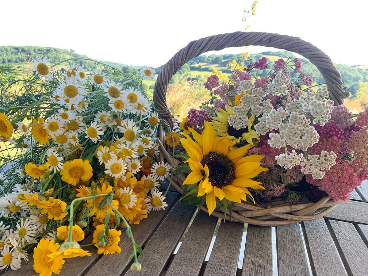 The Beauty Of British-Grown, Organic Flowers: A Sustainable Choice For Florists & Designers