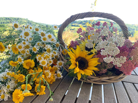 The Beauty Of British-Grown, Organic Flowers: A Sustainable Choice For Florists & Designers