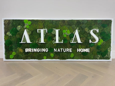 The Ultimate Guide to Moss Art: Decorate with and Create Moss Art