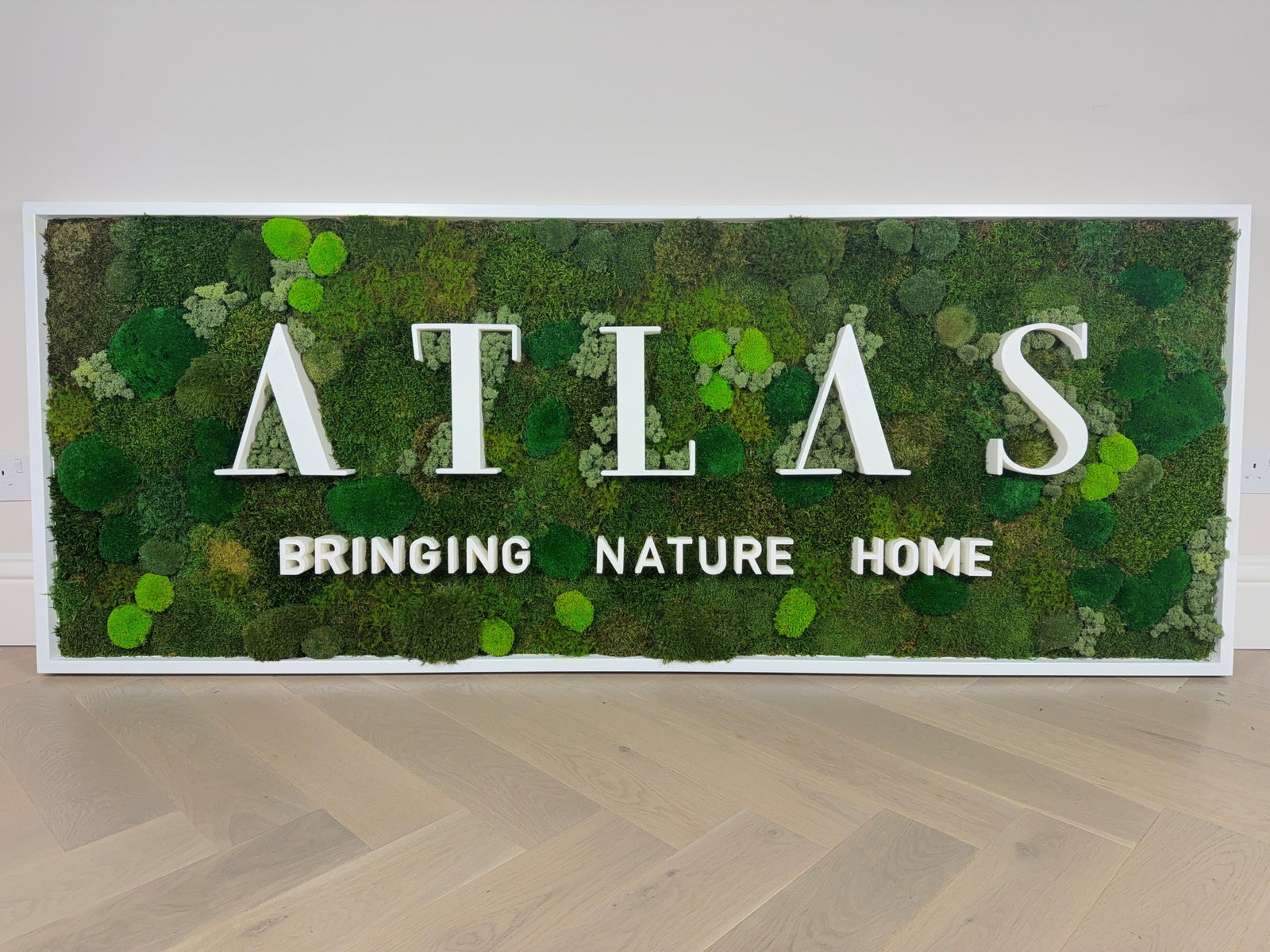 The Ultimate Guide to Moss Art: Decorate with and Create Moss Art