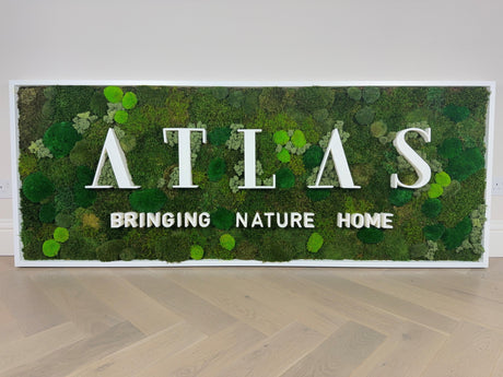 The Ultimate Guide to Moss Art: Decorate with and Create Moss Art