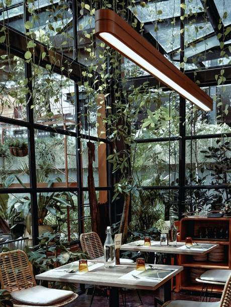 A glasshouse style cafe setting with high ceilings adorned with trailing greenery.