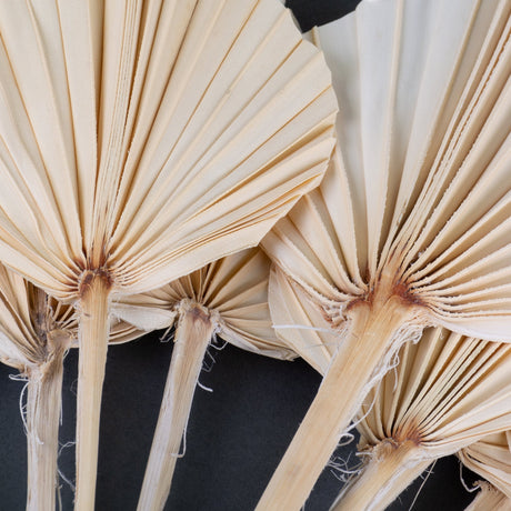 The Ultimate Guide to Styling Dried Palm Leaves and Spears