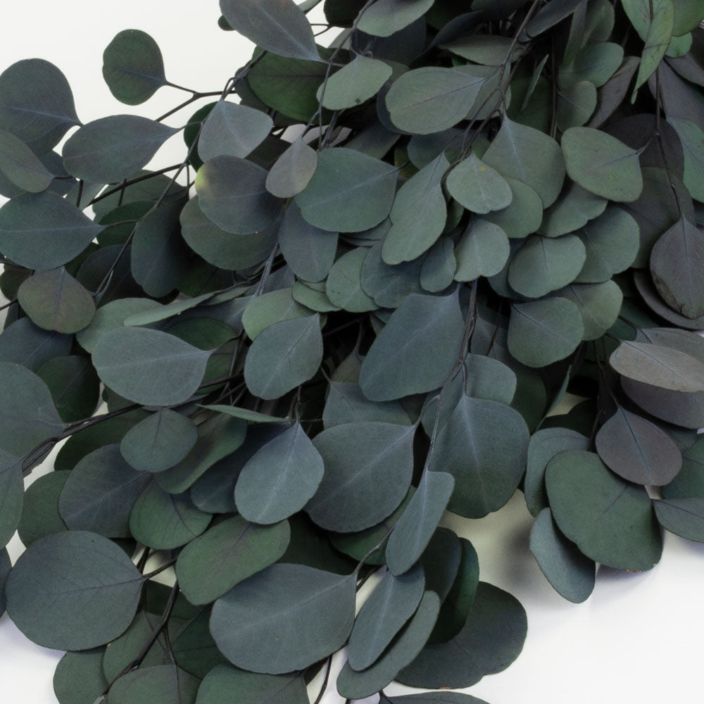 Eucalyptus Nicholii and Populus with Berries Fresh Garland