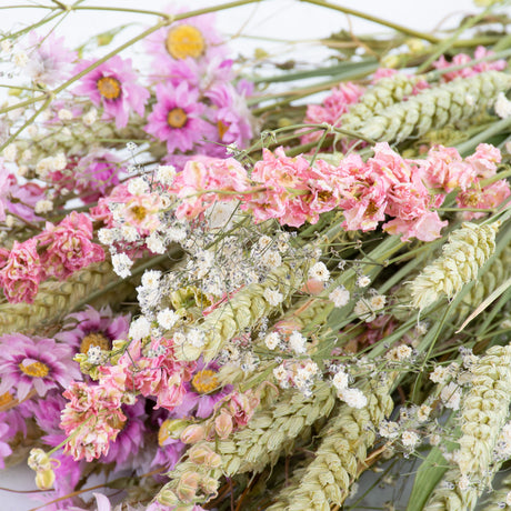 A close up of pink and green dried flowers.