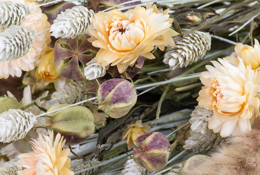 A close up group of different dried flowers.