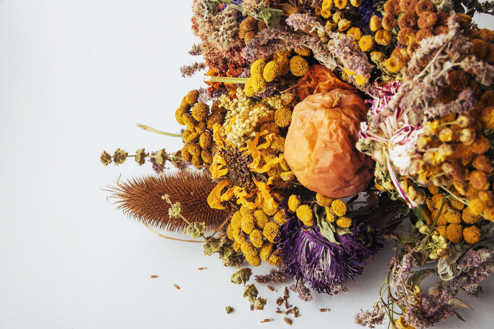 Dried flower arrangement with golden pods and a shriveled apple on white