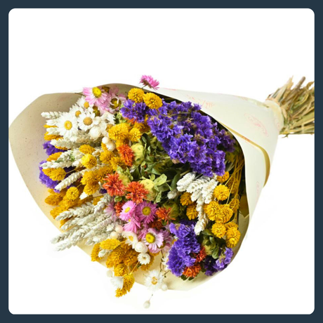 All Pre-Order Products