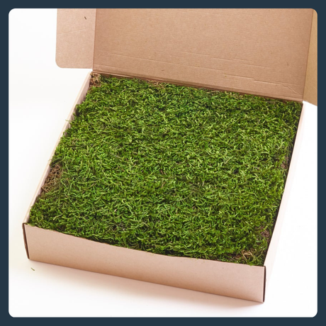 All Preserved Products