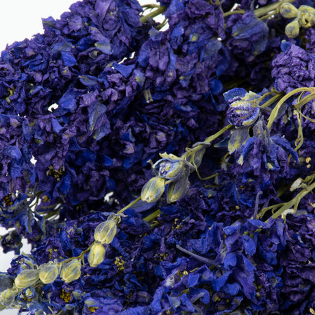 Blue Dried Flowers and Bouquets in Navy, Light Blue and More