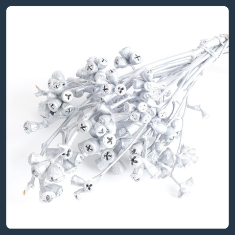 Christmas Festivities