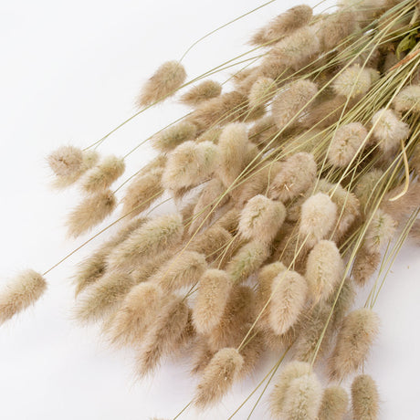 Bunny Tails