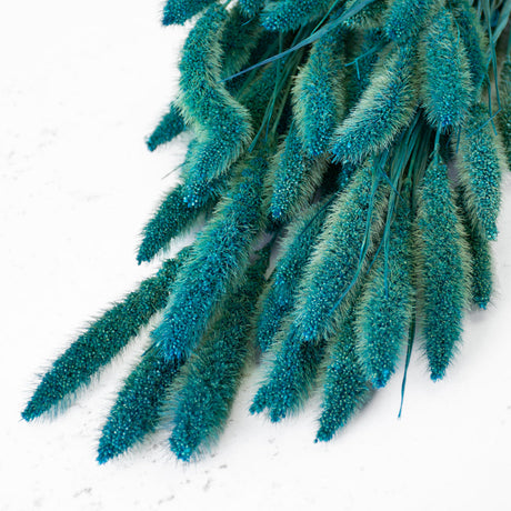 Dried Grasses