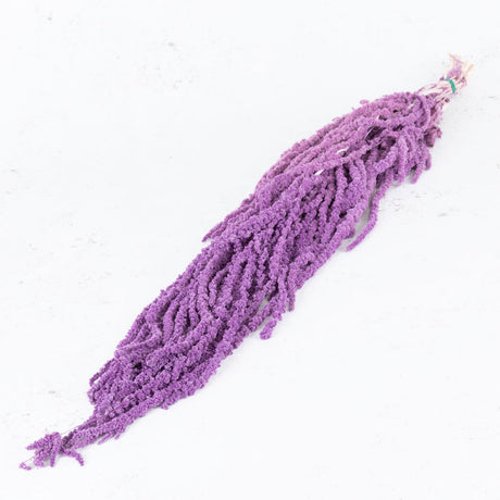 Preserved Amaranthus