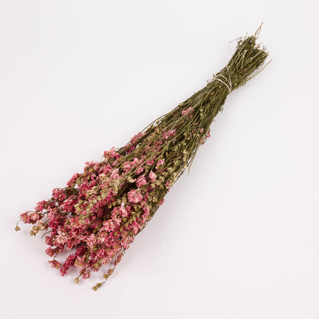 Dried Delphinium