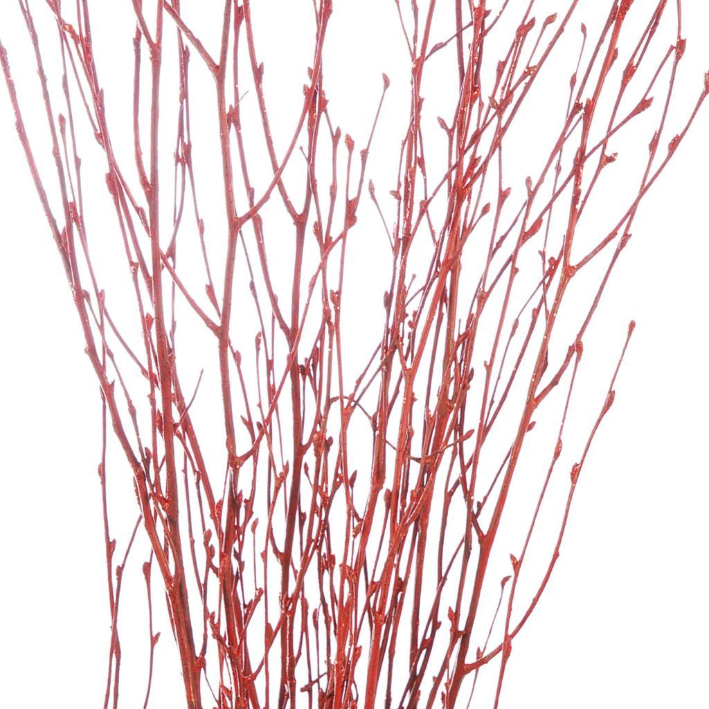 Pre Order Birch 60cm red red glitter, Box x 50