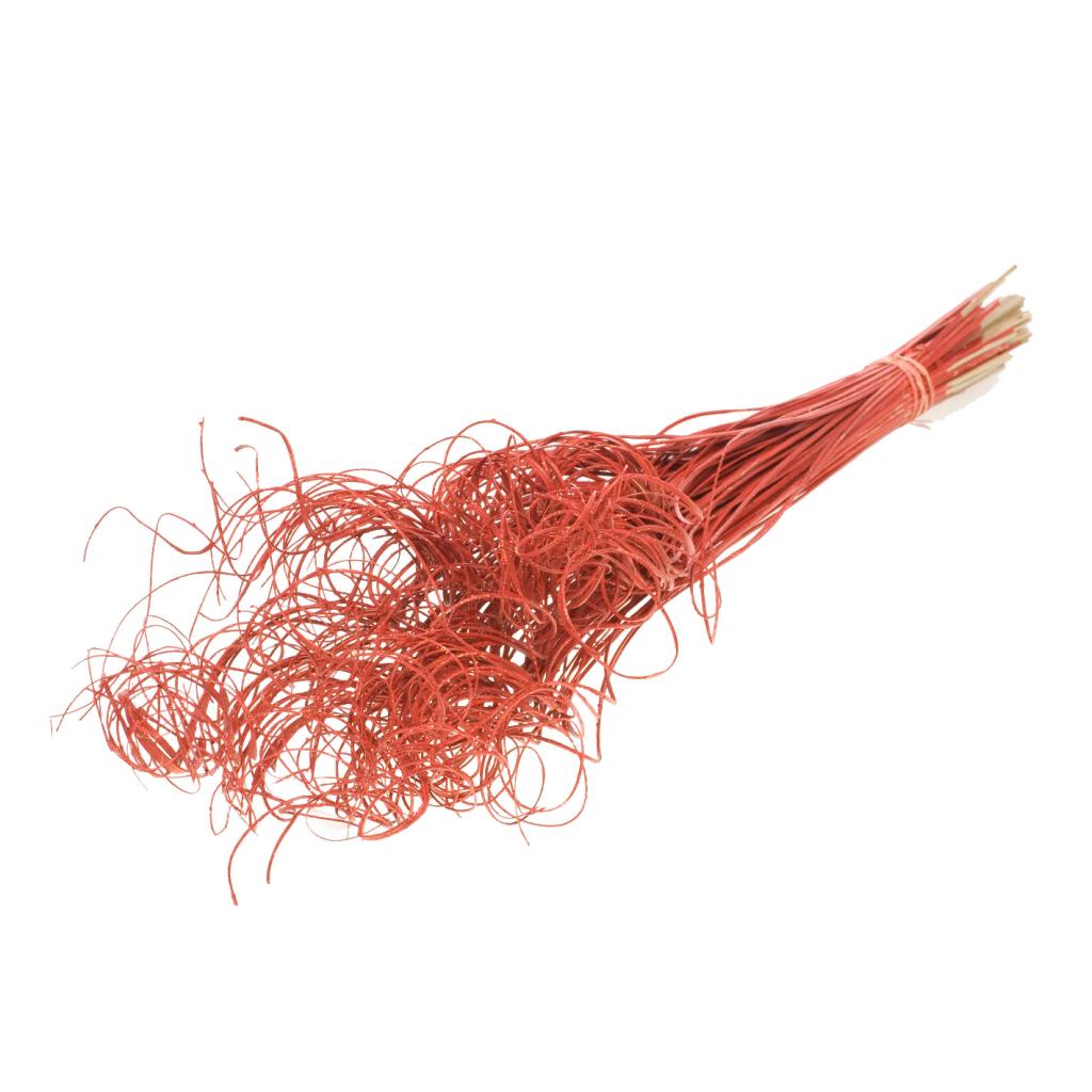 Pre Order Curly ting ting (palm) red red glitter, Box x 20