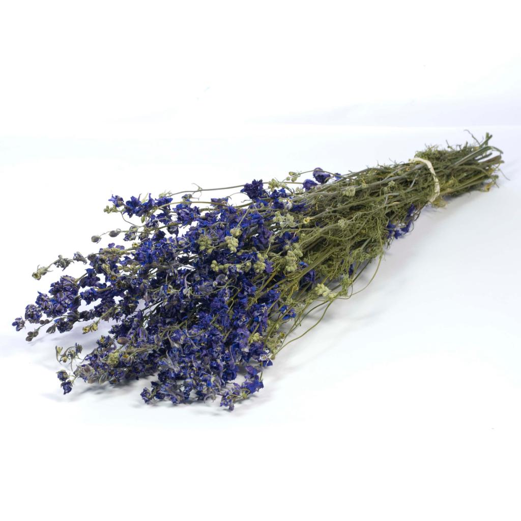 Pre Order Delphinium natural blue, box x 25