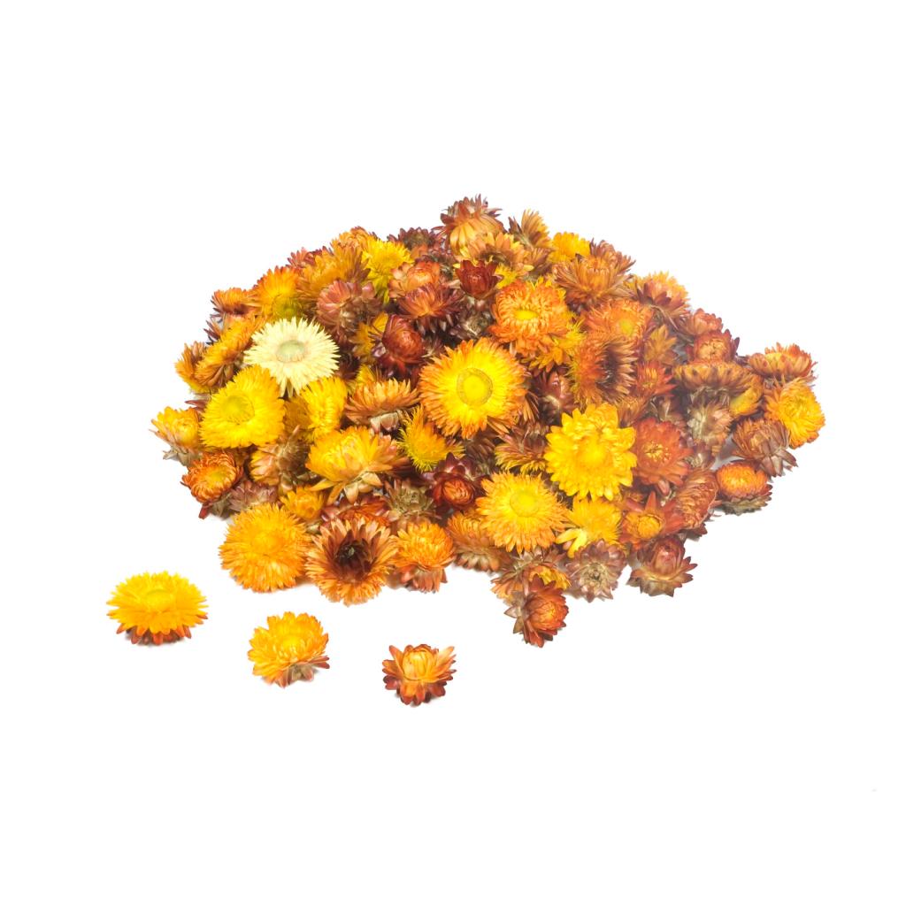 Pre Order Helichrysum head loose natural orange, box x 2KG
