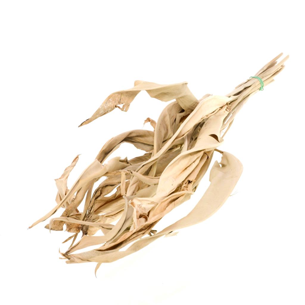 Pre Order Strelizia leave natural, box x 10