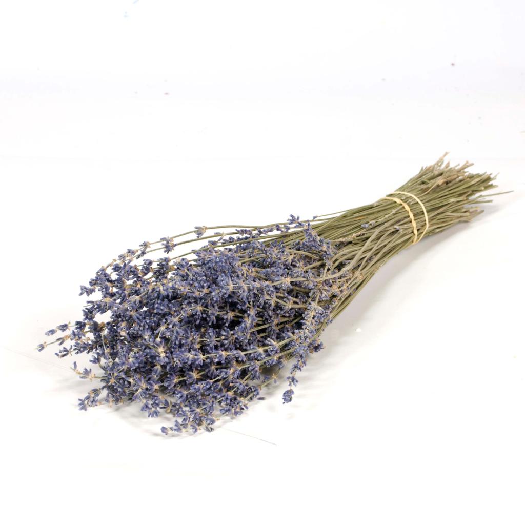 Pre Order Lavender natural blue, box x 40