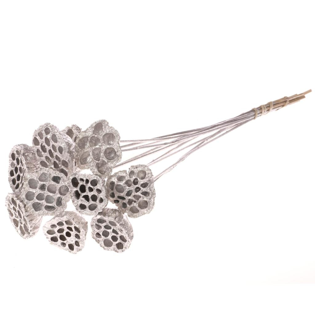 Pre Order Lotus medium on stem silver, Box x 12