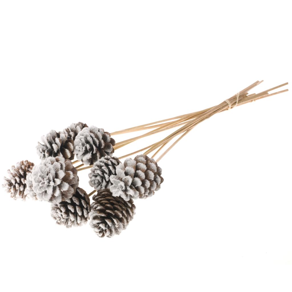 Pre Order Pine cone 5-7cm on stem natural heavy snow, Box x 12