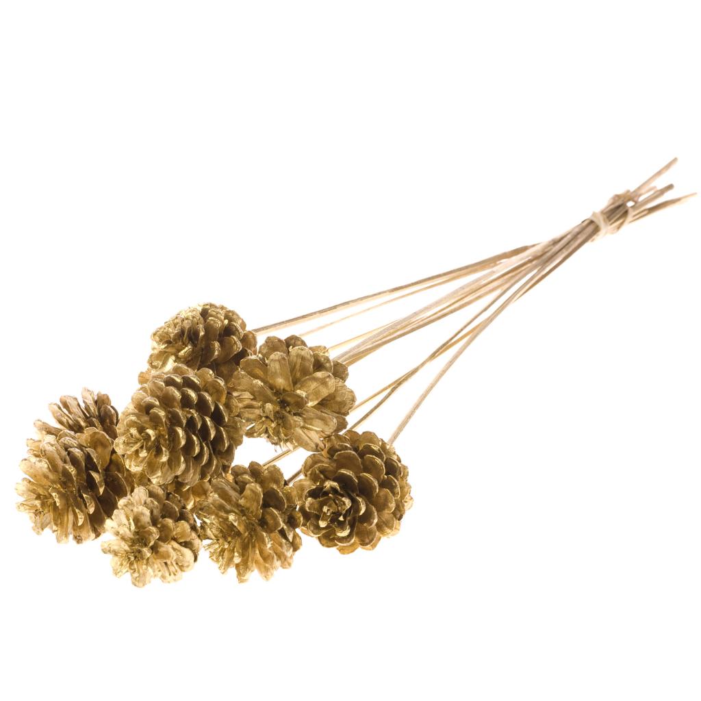 Pre Order Pine cone 5-7cm on stem gold, Box x 12