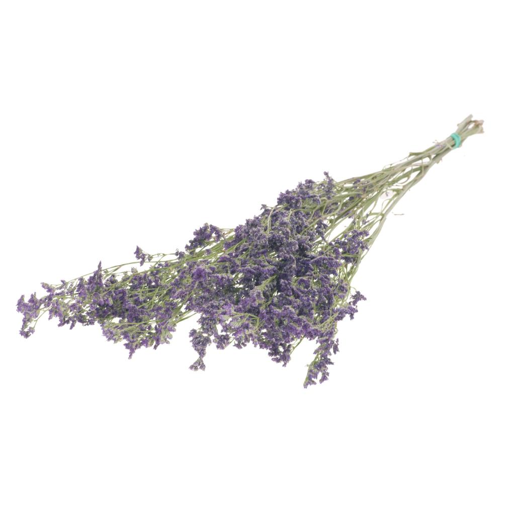 Pre Order Limonium natural purple, box x 25