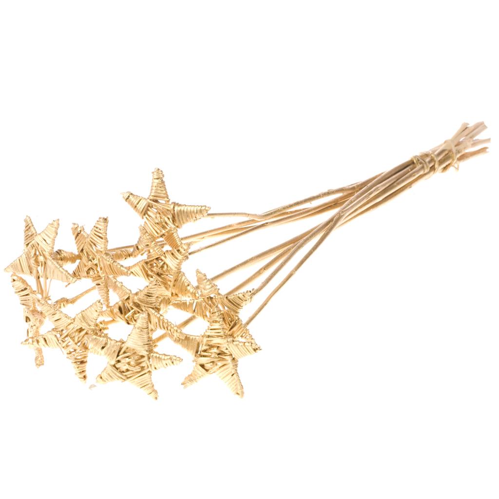 Pre Order Latastar 8cm flat on stem gold, Box x 15