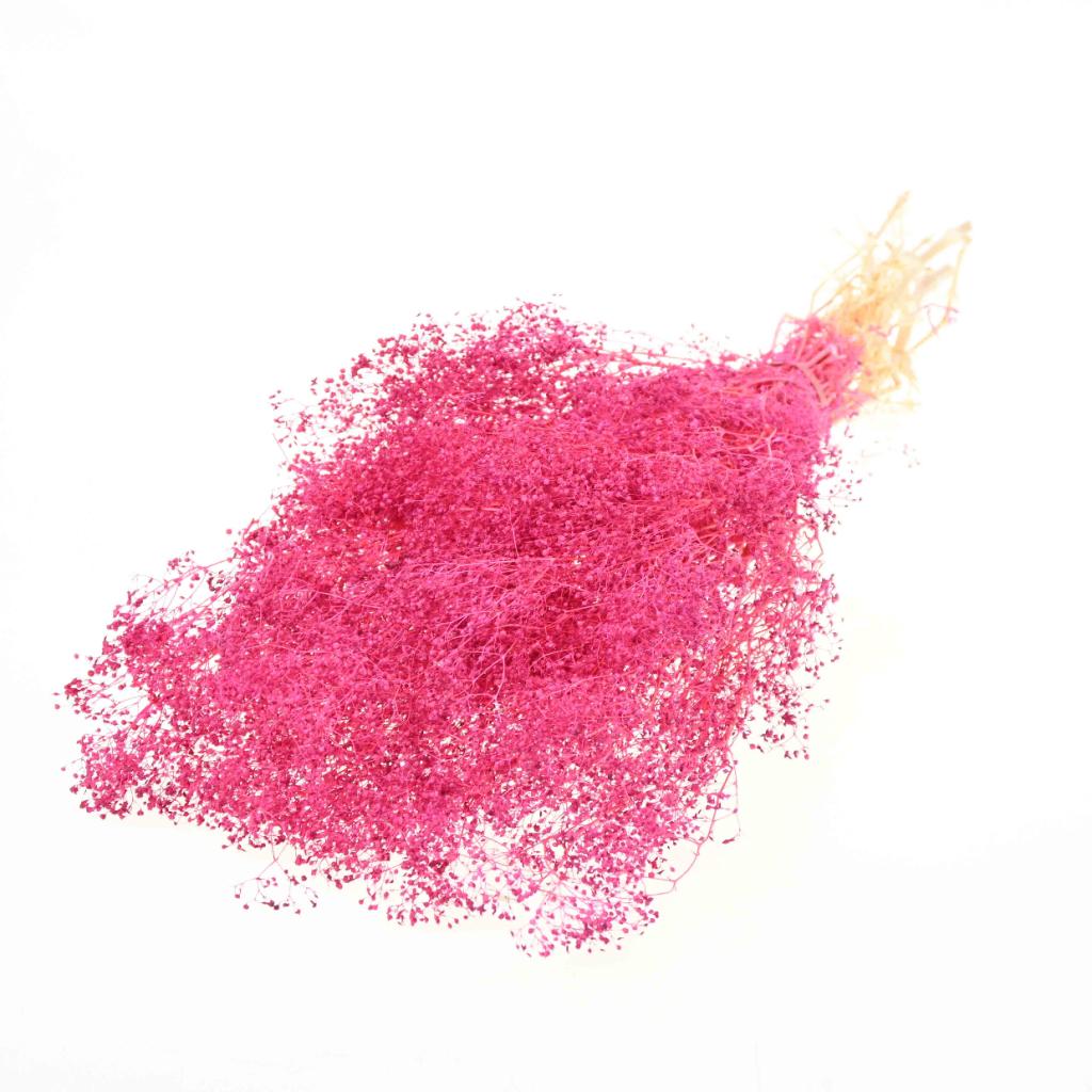 Pre Order Gypsophila mini preserved cerise, box x 20