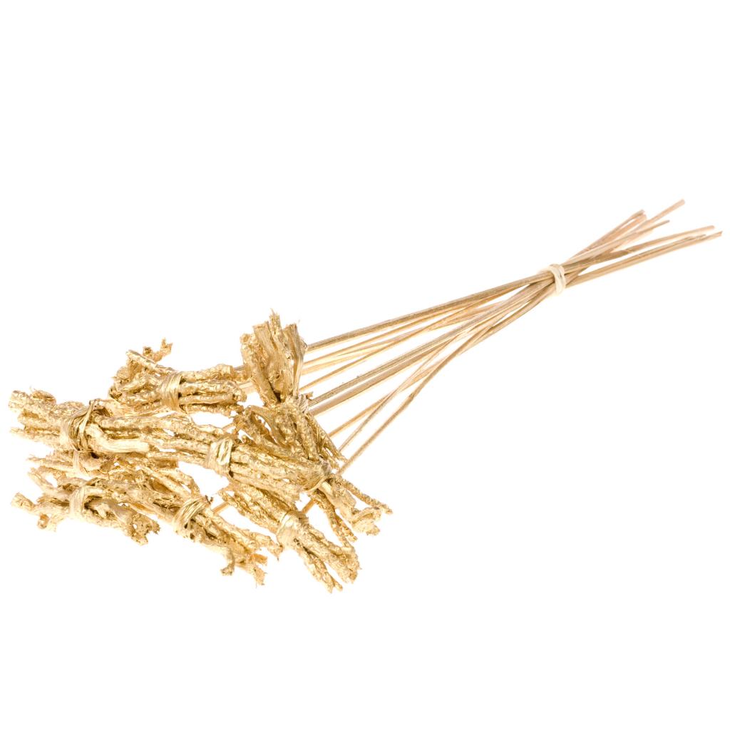 Pre Order Cocochain posy 8cm posy o/s  gold, box x 18