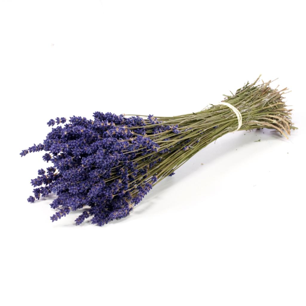 Pre Order Lavender extra blue natural dark blue, box x 50