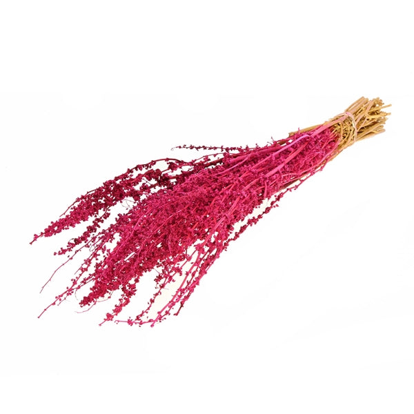 Pre Order Palak stick  cerise, box x 12