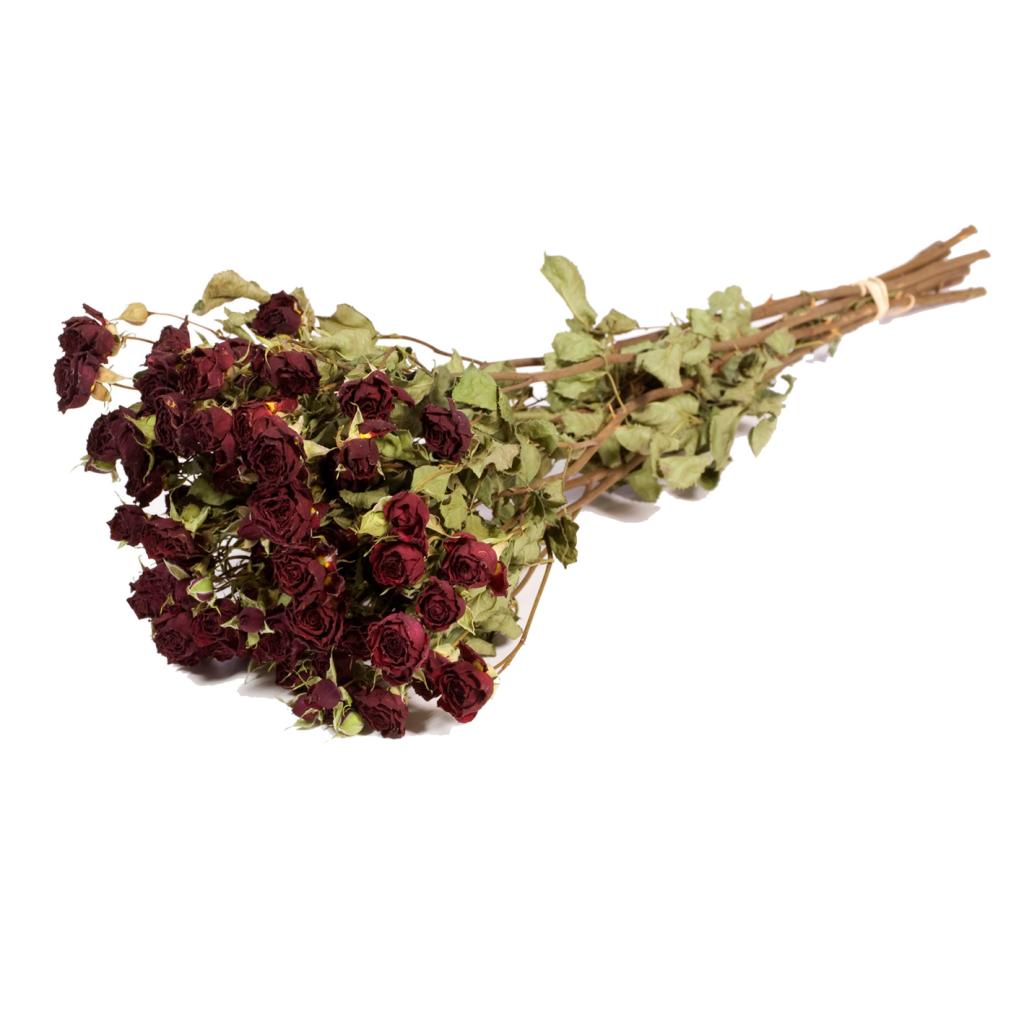 Pre Order Roses spray  natural red , box x 20
